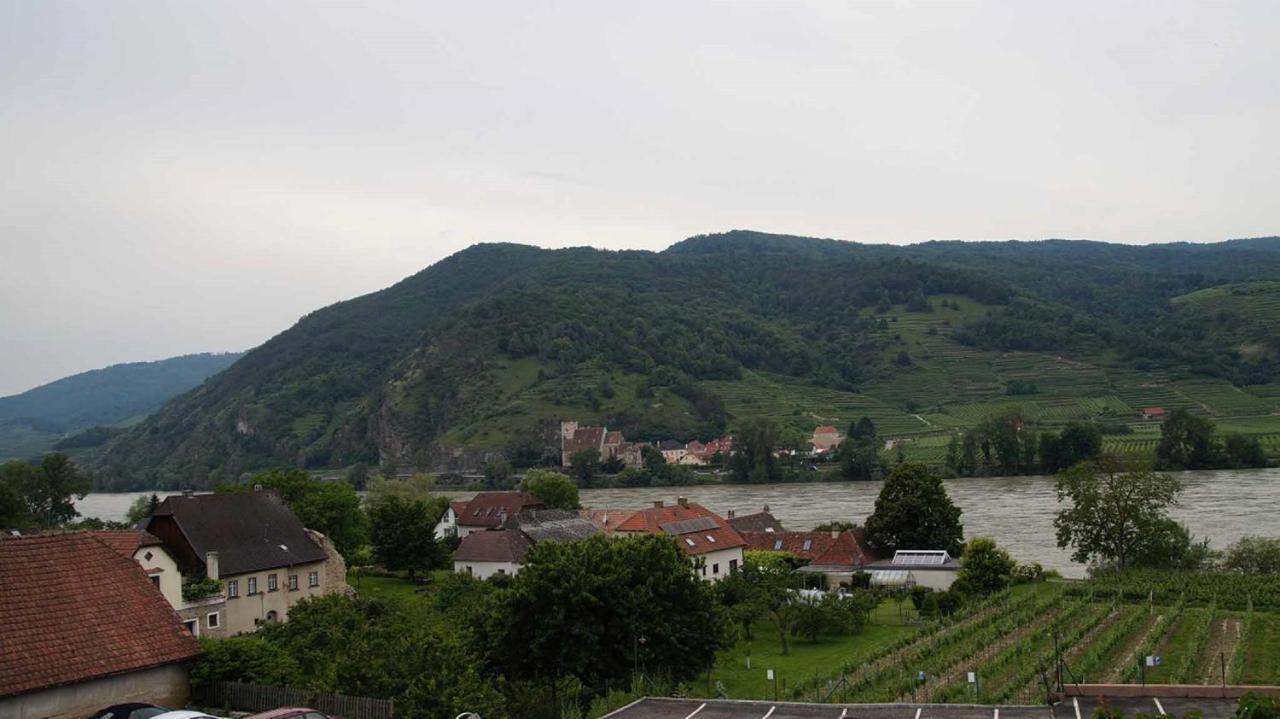Weingut & Gaestezimmer Pammer Mitterarnsdorf Экстерьер фото
